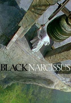 Narciso nero